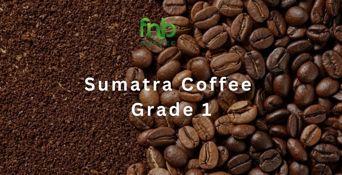Sumatra Coffee Grade 1 - 1640 x 840 px