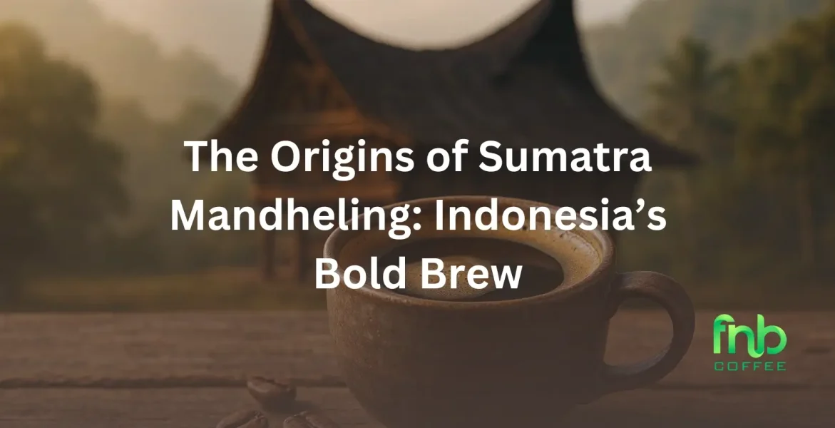 The Origins of Sumatra Mandheling Coffee