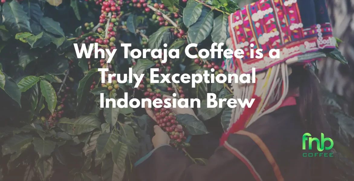 Explore the exceptional qualities of Toraja coffee, a unique Indonesian brew known for its rich flavor and aroma.