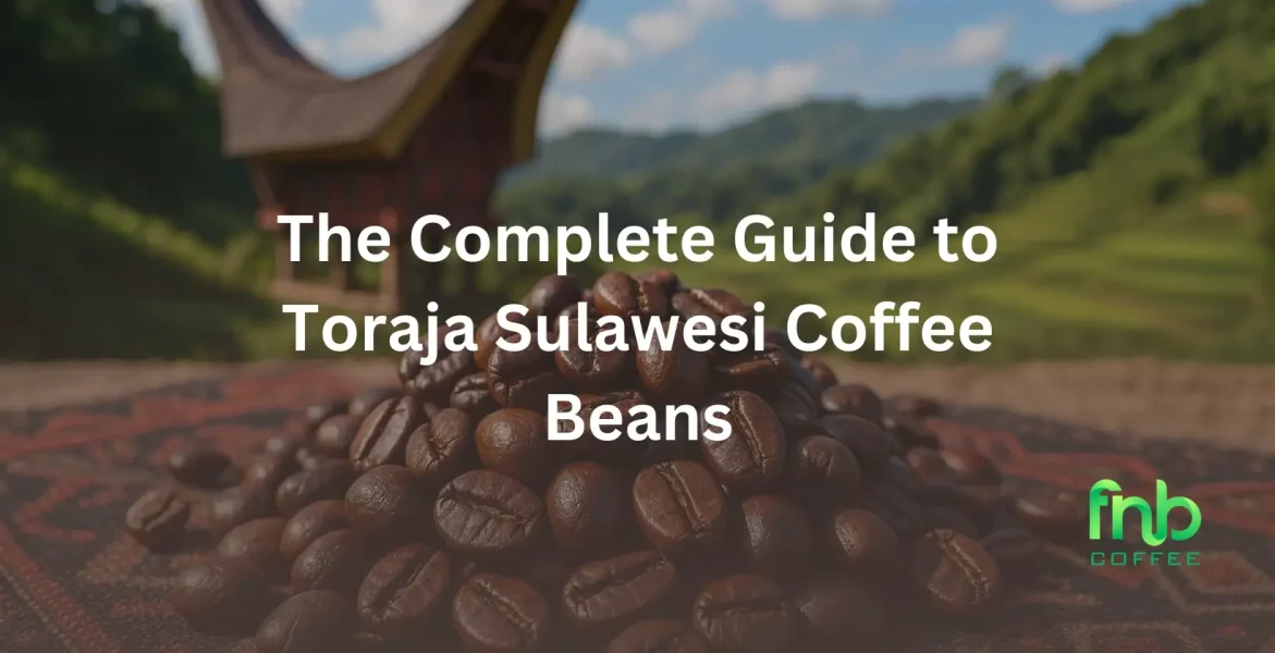 Toraja Sulawesi Coffee Beans