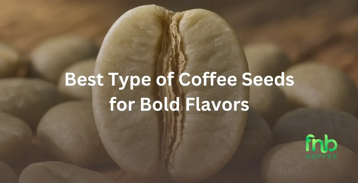 Type of Coffee Seeds