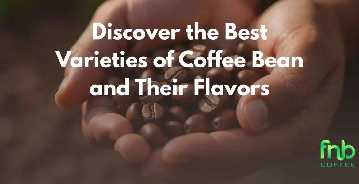 An immersive look at Gayo coffee, highlighting its distinct characteristics and the allure of its exotic origins.