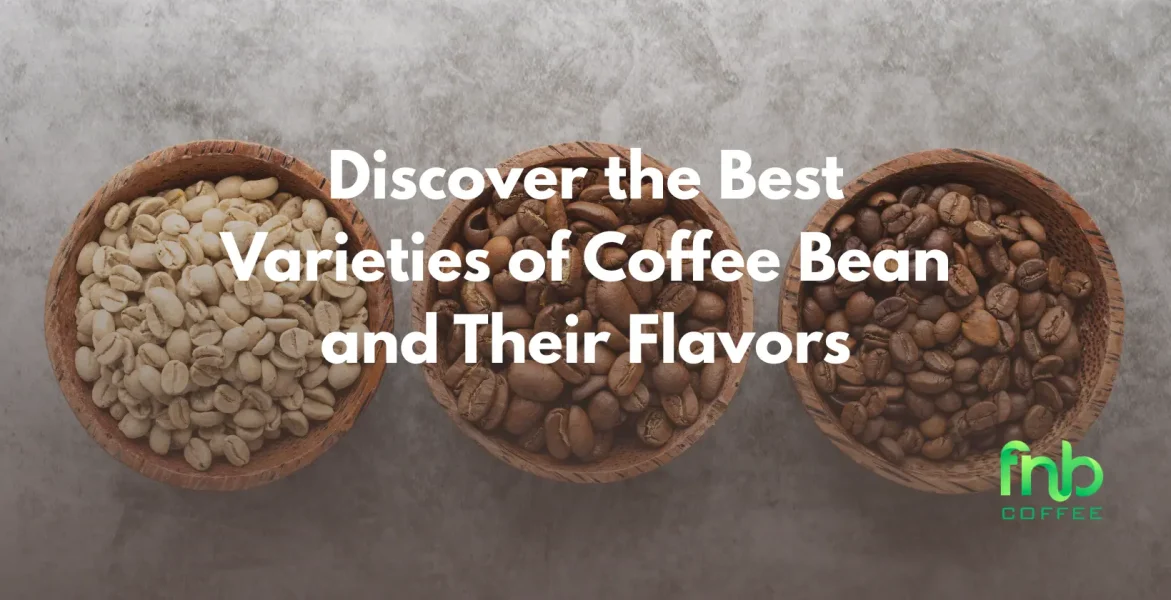 An array varieties of coffee bean , highlighting their unique flavors and characteristics for coffee lovers