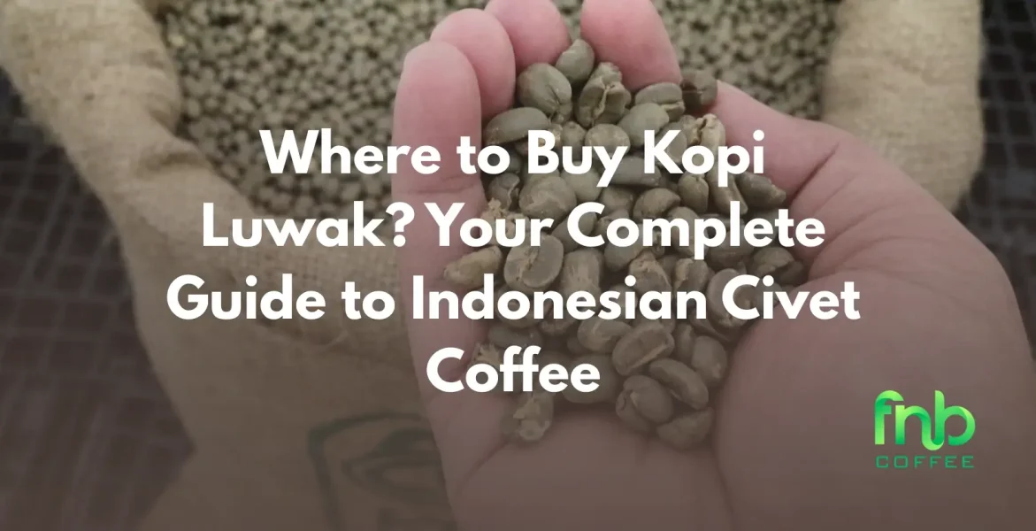 Where to Buy Kopi Luwak