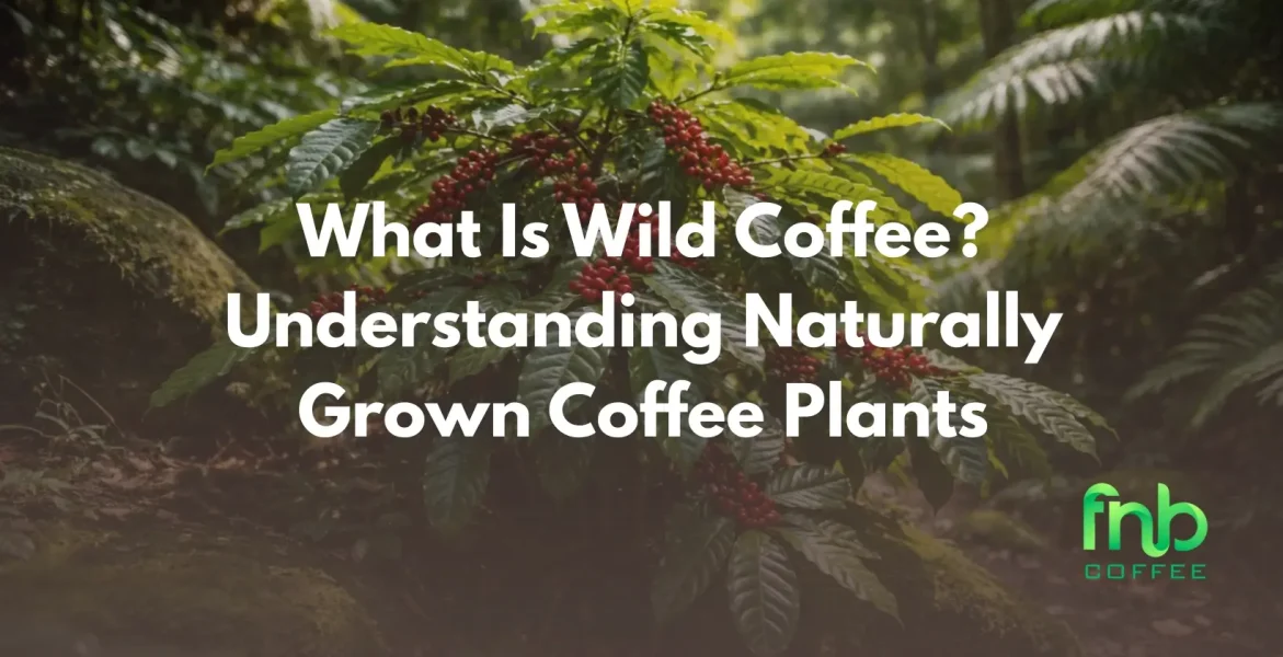 Wild Coffee